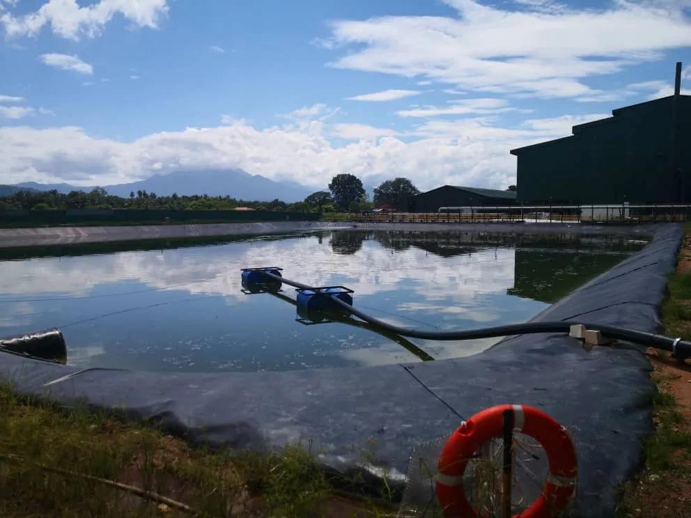 HDPE Geomembrane Lining | Pond Liner